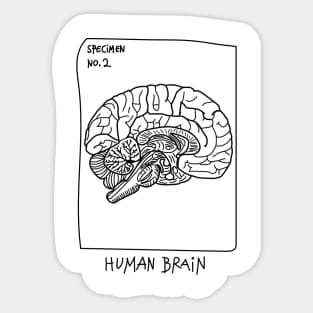 Human Brain T-shirt Sticker